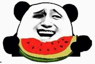 潇洒优雅吃瓜群众视频,揭秘视频背后的趣味人生