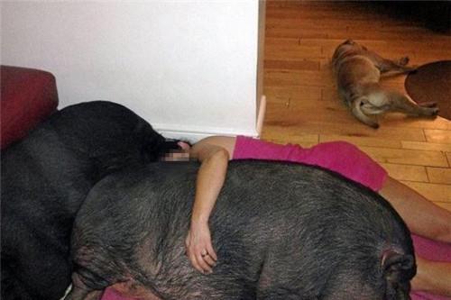 吃小酥瓜会胖吗女生视频,女生吃小酥瓜真的会胖吗？