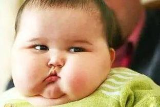 扎针吃小瓜会胖吗视频大全,揭秘减肥新法，视频大全带你探索健康瘦身之道