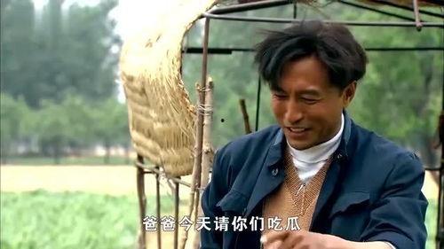 县委书记吃瓜视频大全下载,揭秘官场幕后趣闻