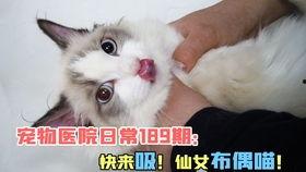 吃瓜自娱自乐视频,自娱自乐视频盘点