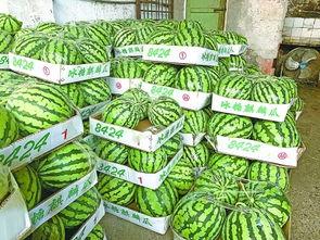 武汉吃瓜视频全集,揭秘城市生活百态