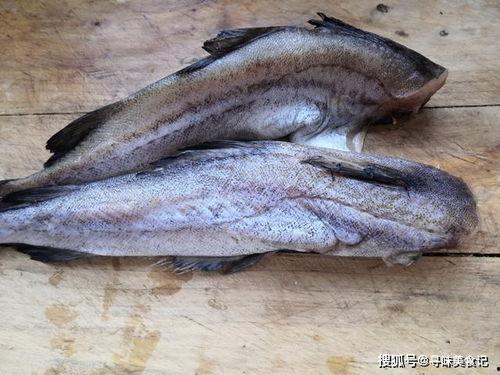 吃八瓜鱼完整视频播放,一网打尽的海鲜盛宴