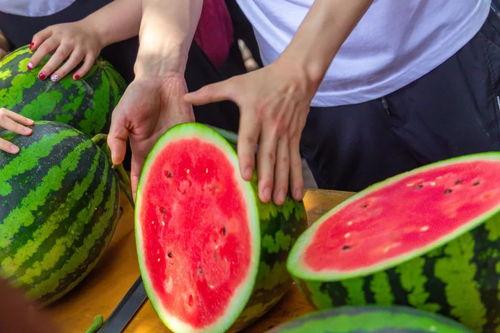 青海大学吃瓜视频,揭秘校园生活趣味瞬间