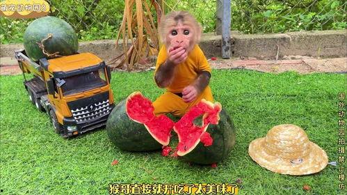 快乐六一欢乐吃瓜视频,共享童年快乐时光