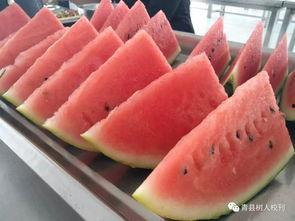 陕西青县吃瓜视频,一场视觉与味蕾的双重盛宴