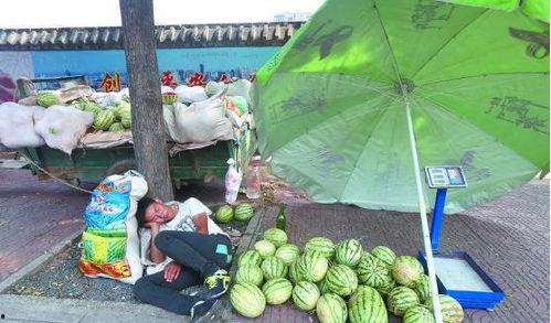 漯河吃瓜事件视频,一场引发网友热议的街头冲突