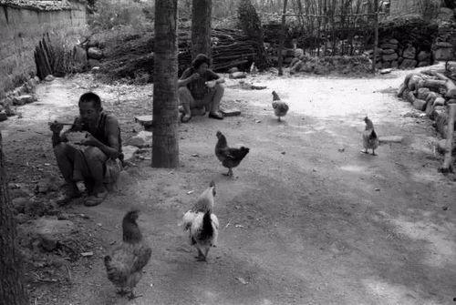 四川山村吃瓜事件视频全集,揭秘乡村美食背后的故事