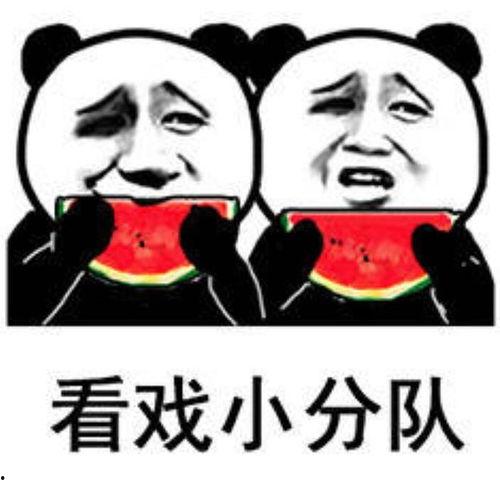 来一个吃瓜的视频,一场网络视频的狂欢盛宴