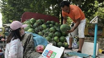 济宁黄屯吃瓜事件视频,一场引发热议的街头冲突