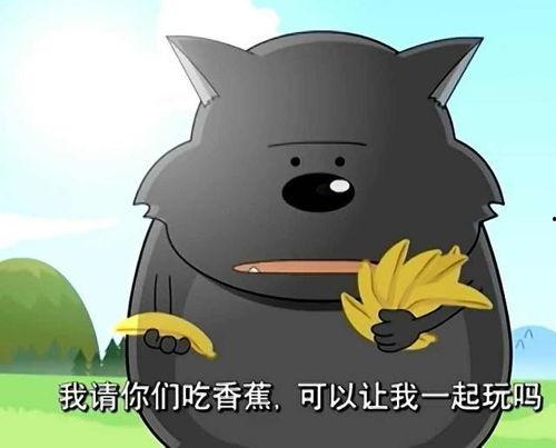 小羊视频吃瓜,一场别开生面的吃瓜盛宴