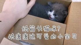 吃瓜开箱小视频,带你领略潮流新品魅力