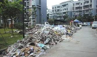 沈阳浑南区吃瓜事件视频,一场引发热议的街头冲突纪实