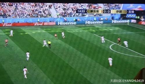 吃瓜群众踢球视频大全集,视频大全集精彩瞬间回顾