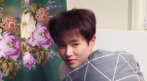 王子奇吃瓜是真的吗视频,真相揭秘