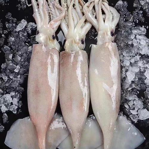 鱿鱼游戏吃瓜视频,揭秘网络爆红现象，揭秘吃瓜群众背后的心理