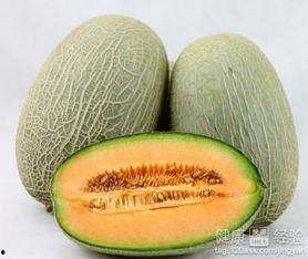 青鱼会吃哈密瓜吗视频,揭秘青鱼对哈密瓜的神奇反应